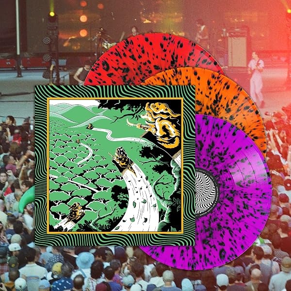 King Gizzard & The Lizard Wizard - Acoustic Gizzard - Live in